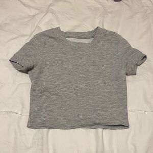 ALO Yoga Gray Ribbed Short Sleeve Crop Top